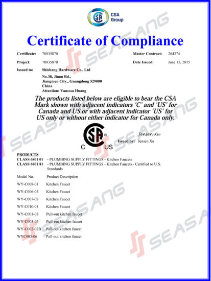 Grifo de agua de cocina de acero inoxidable moderno con certificado CSA